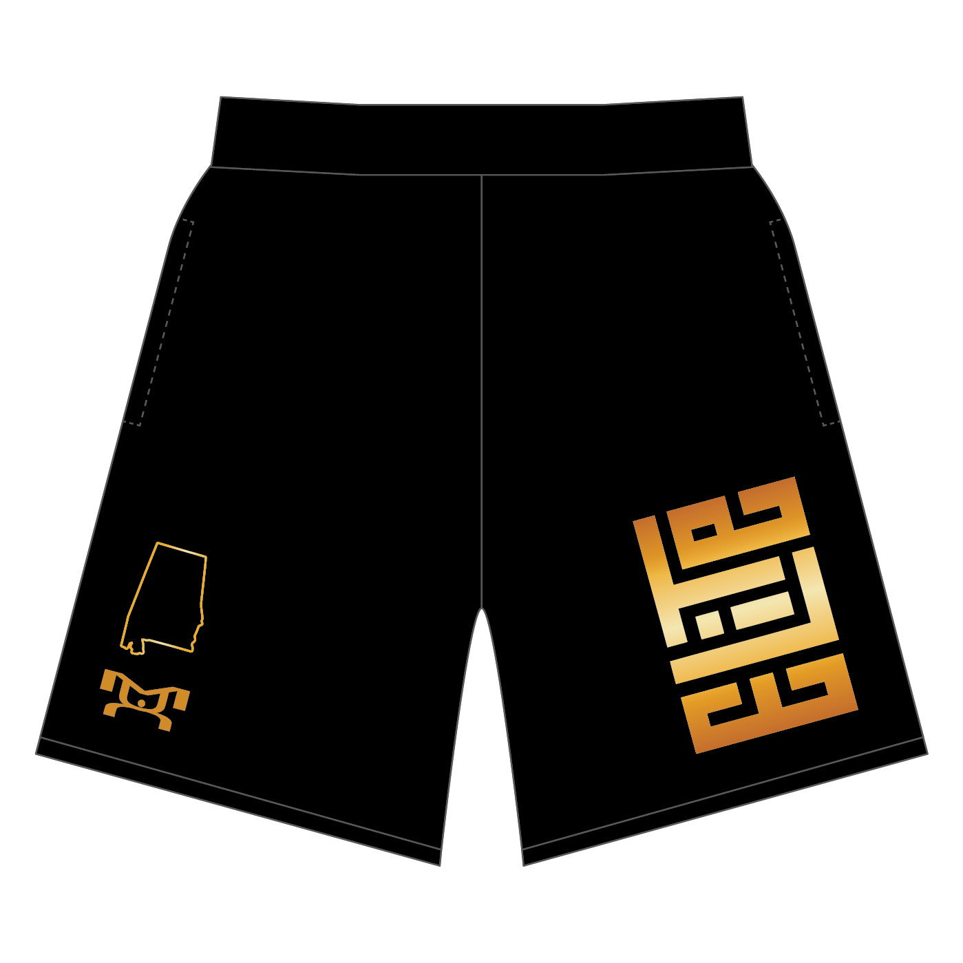 North Alabama Elite Wrestling Custom Mesh Shorts – MyHOUSE Sports Gear