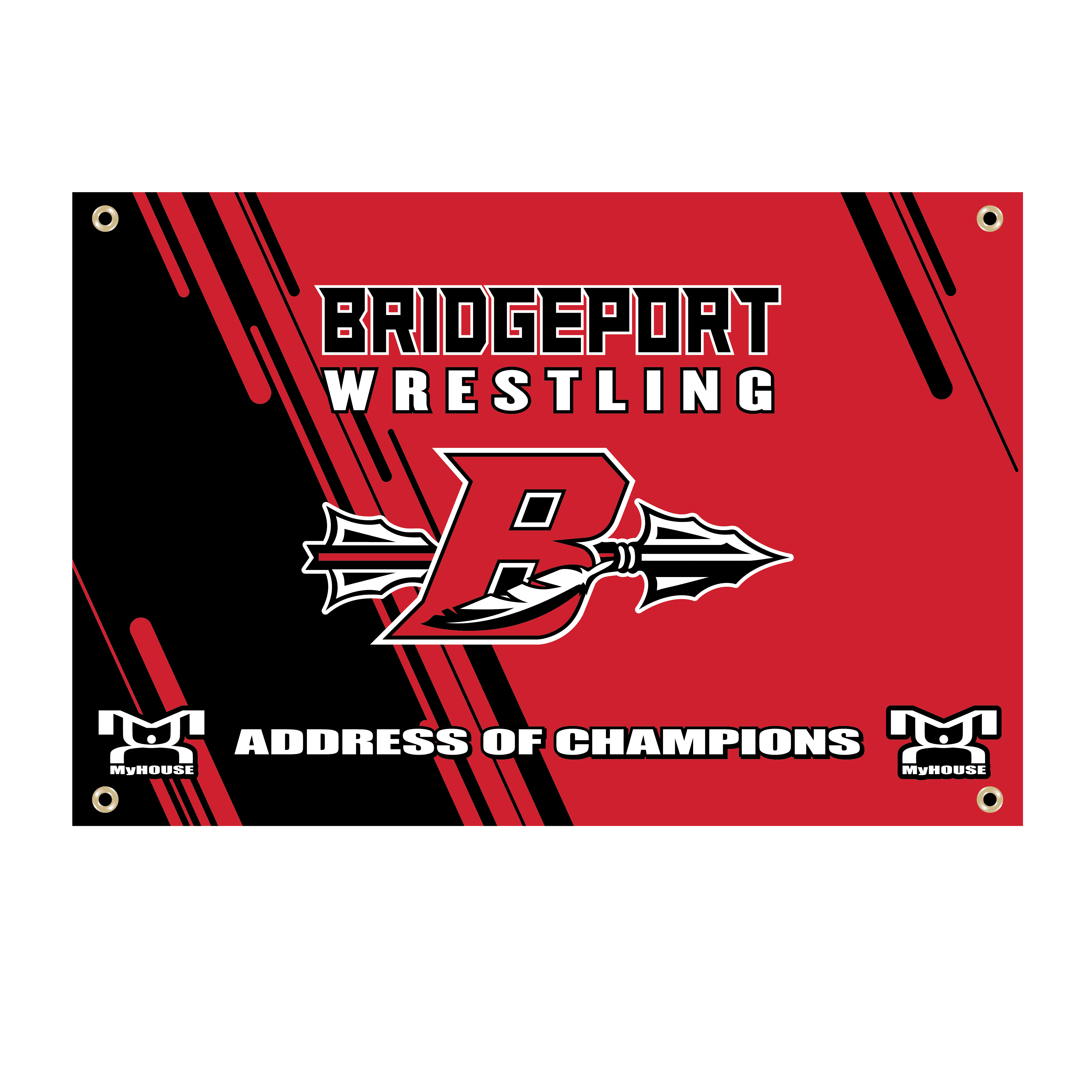 BYWC WV Custom Team Banner