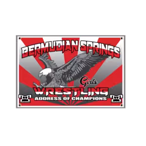 Bermudian Springs Custom Team Banner