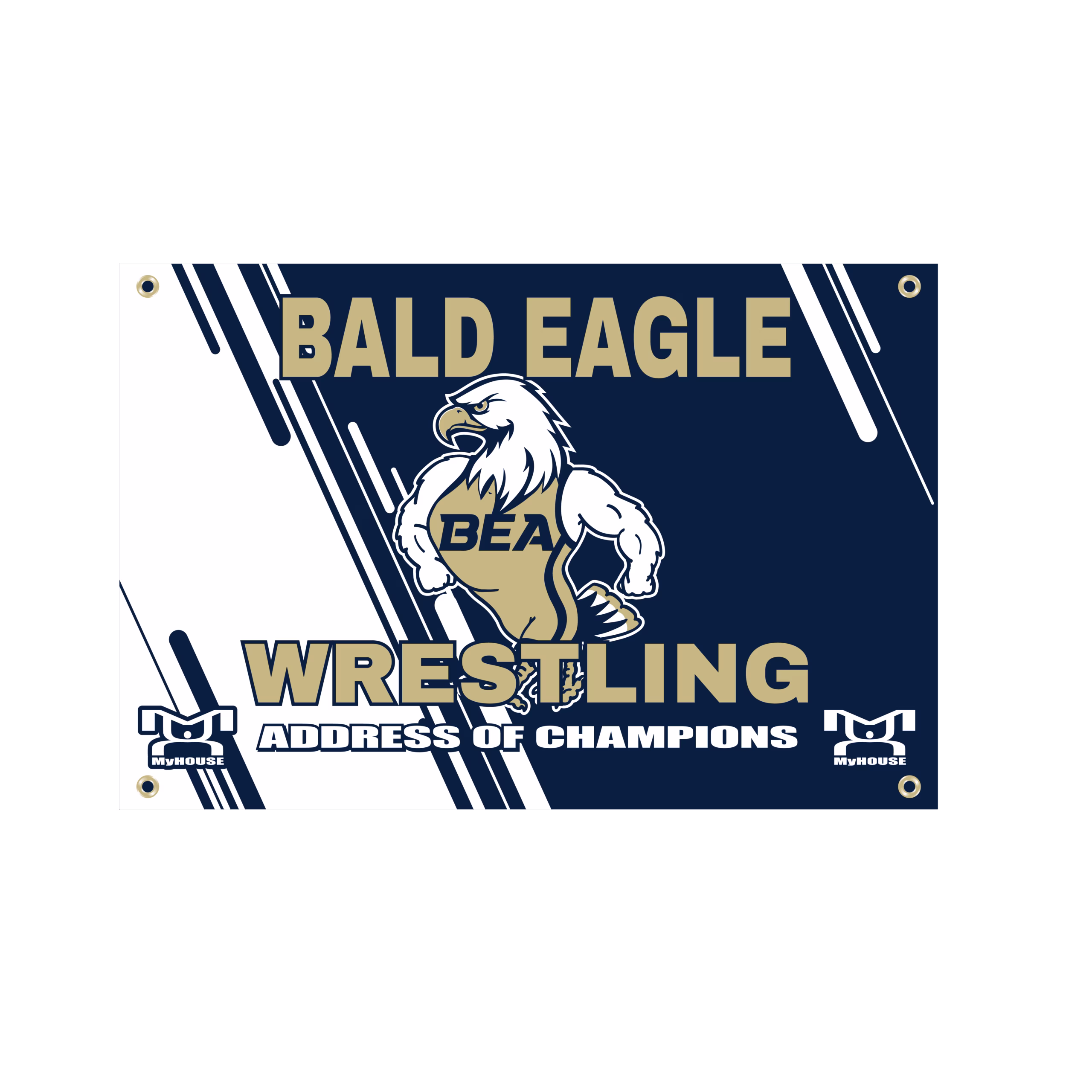 BALD EAGLE AREA Custom Team Banner