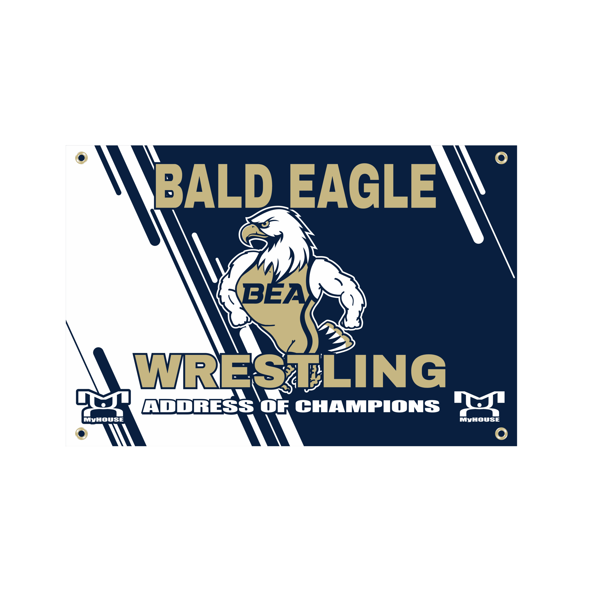 BALD EAGLE AREA Custom Team Banner