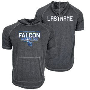 Lower Dauphin PA Custom Heat Press Short Sleeve Hoodie T-Shirt 2025