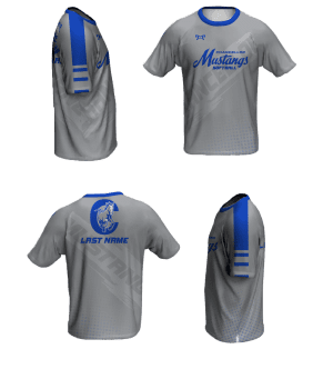 Chancellor Middle School SOFTBALL Loose Short Sleeve Dri-Fit