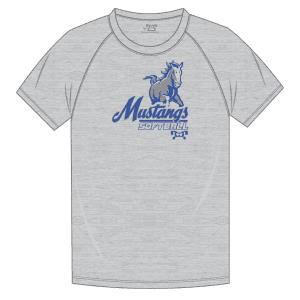 Chancellor Middle School SOFTBALL Custom Sublimated Decal T-Shirt